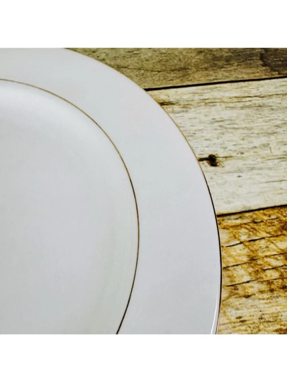 Vintage Kmart ELEGANT GOLD White Gold Trim Rim Porcelain Dinner Plates Set of 2